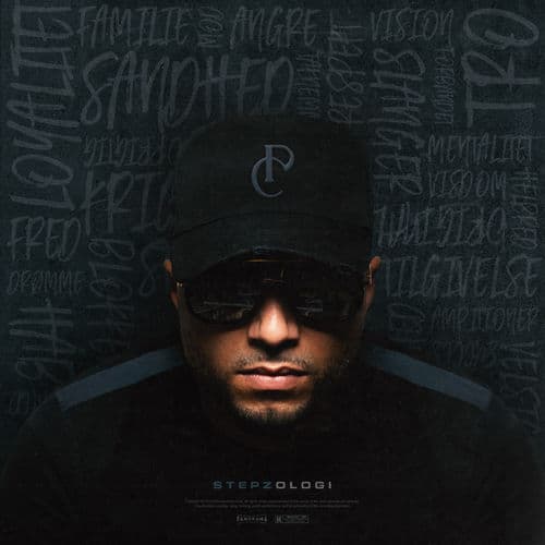 Album cover art for Stepzologi