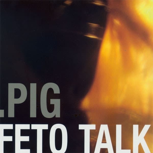 Album cover art for Feto Talk