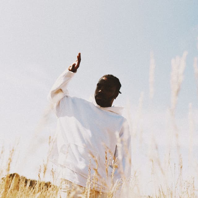 Album cover art for LE LOUP BLEU