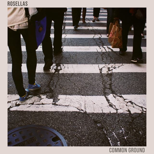 Album cover art for Common Ground