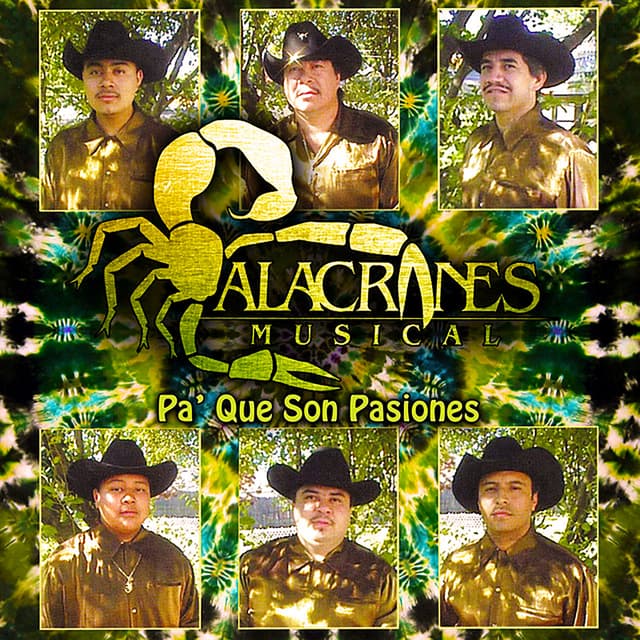 Album cover art for Pa' Que Son Pasiones