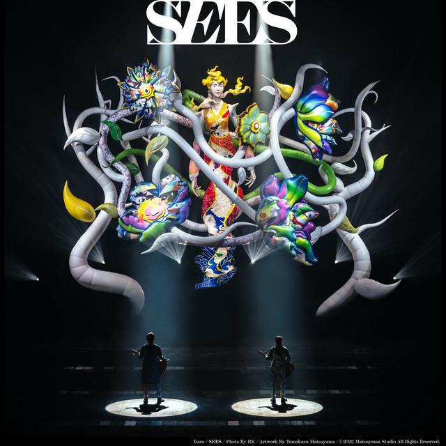 Album cover art for Sees