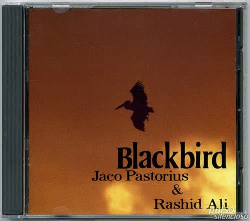 Album cover art for Blackbird