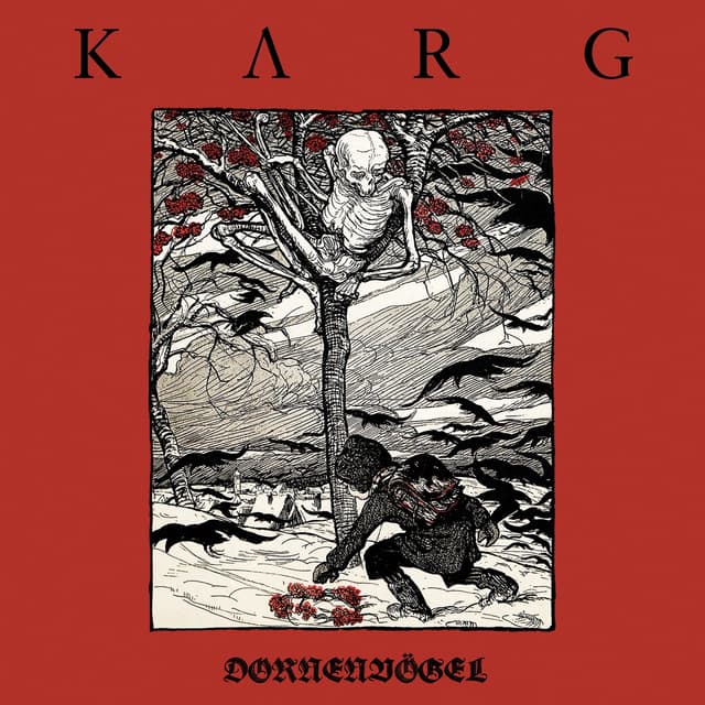 Album cover art for Dornenvögel