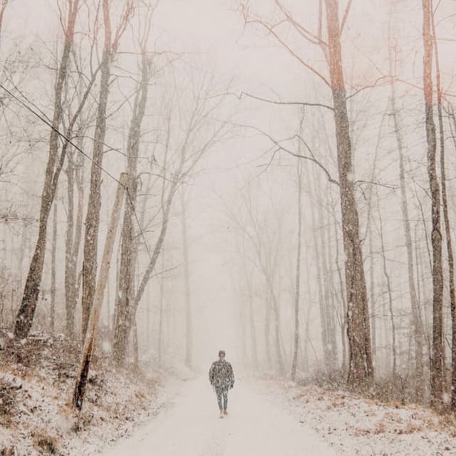 Album cover art for 長い道