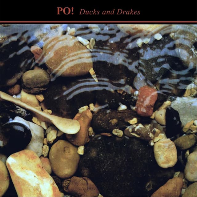 Album cover art for Ducks and Drakes