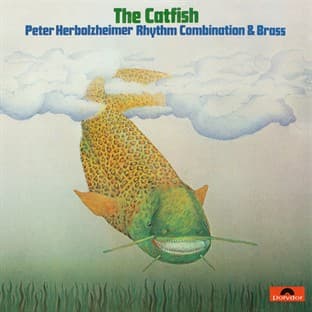 Album cover art for The Catfish