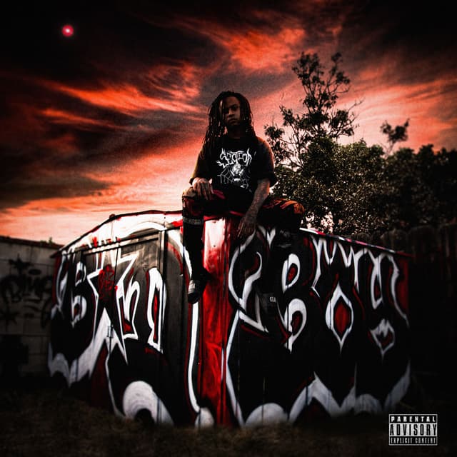 Album cover art for Bad Boy