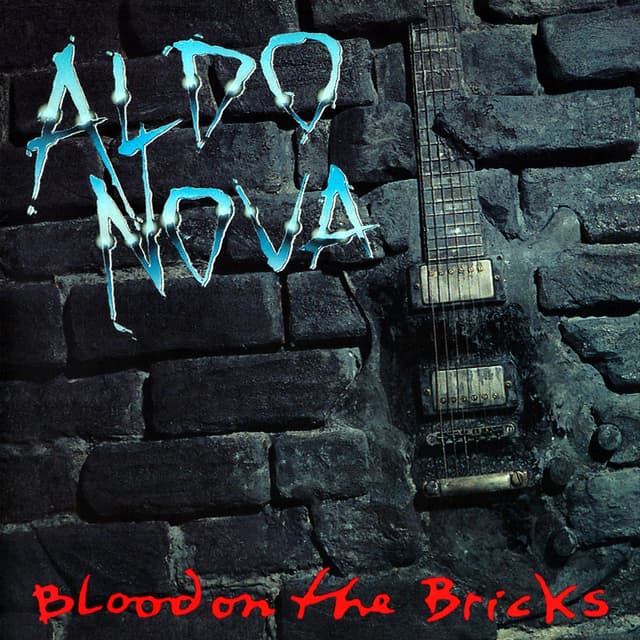 Album cover art for Blood On The Bricks