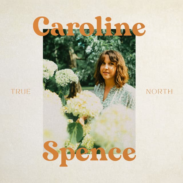 Album cover art for True North