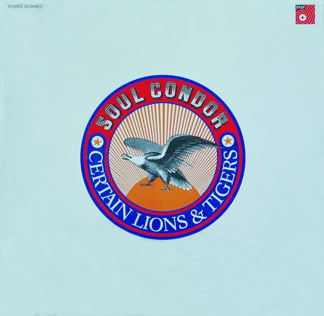 Album cover art for Soul Condor