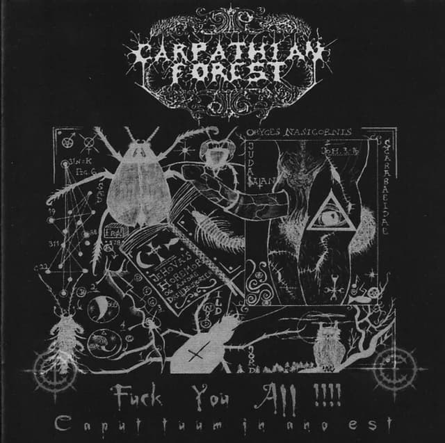 Album cover art for Fuck You All !!!!