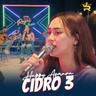 CIDRO 3