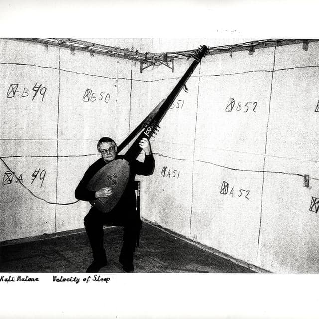 Album cover art for Velocity of Sleep