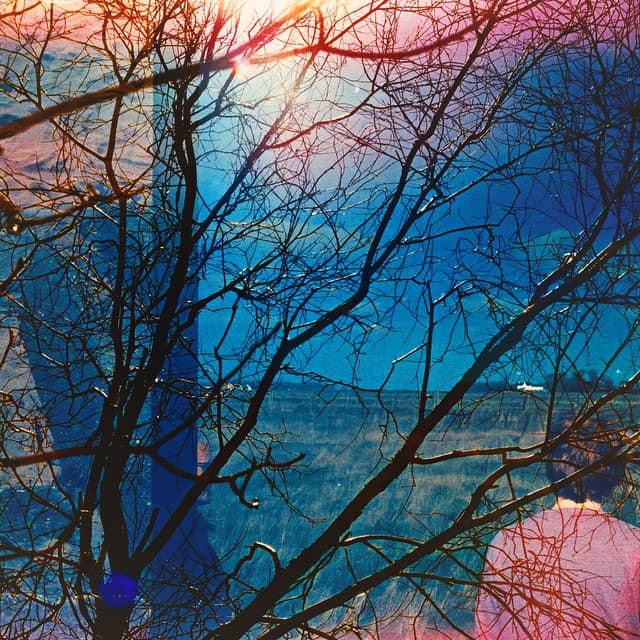 Album cover art for Idlewild