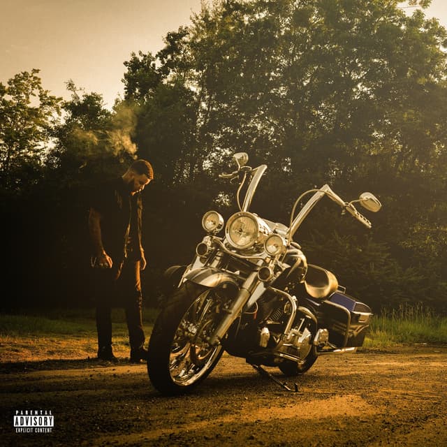 Album cover art for Trouble In Paradise