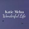 Wonderful Life