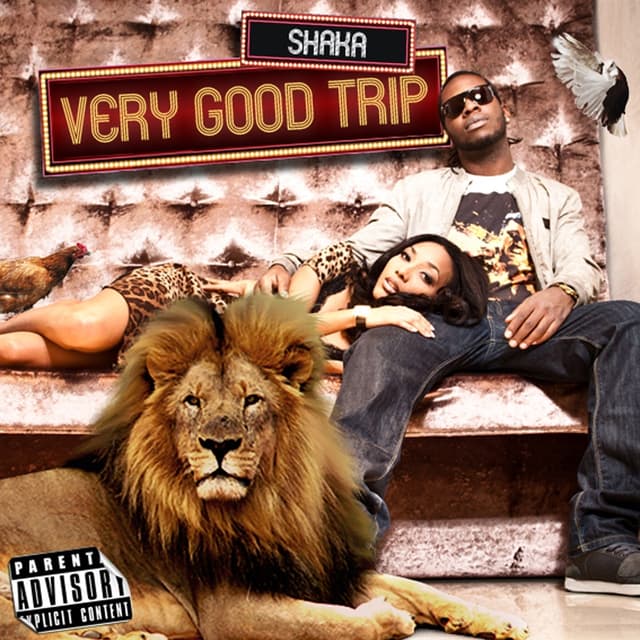 Album cover art for Very Good Trip