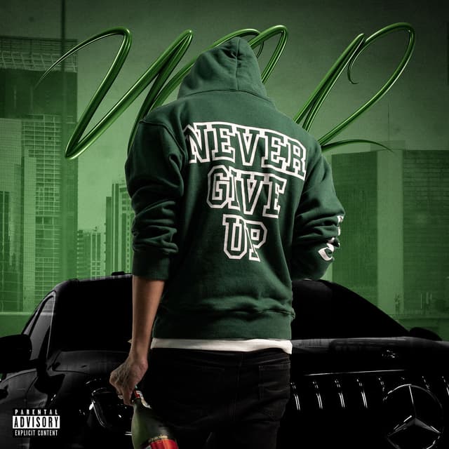 Album cover art for NGU 2