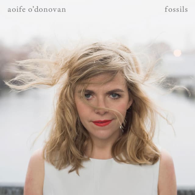 Album cover art for Fossils