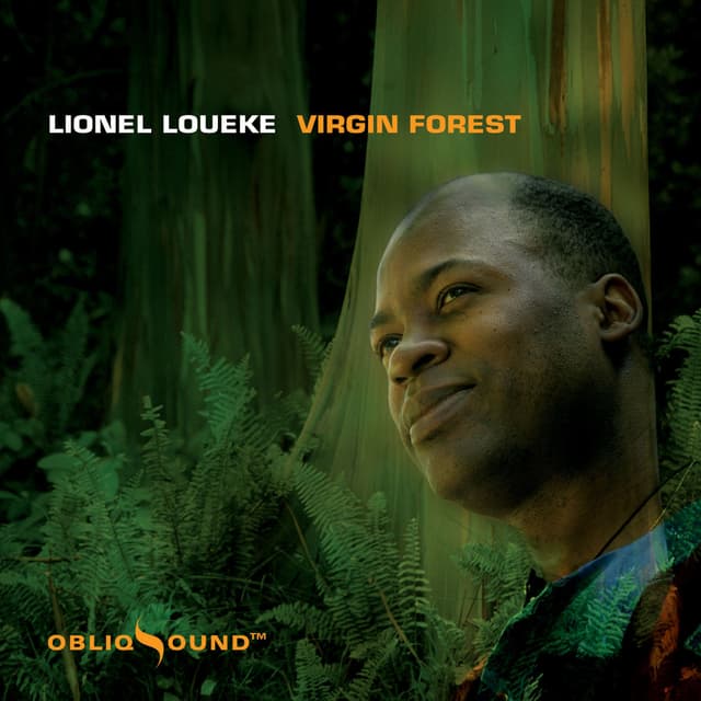 Album cover art for Virgin Forest