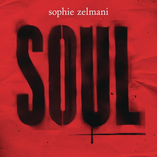 Album cover art for Soul