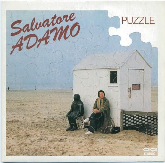 Album cover art for Puzzle