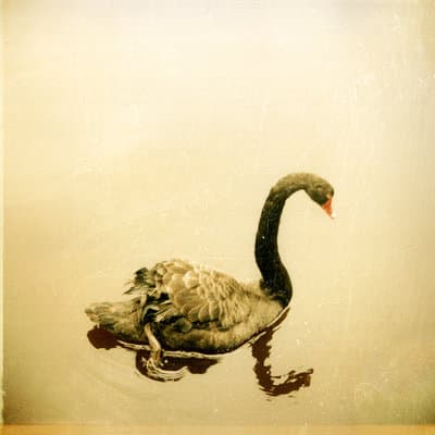 Album cover art for Crooked Fingers