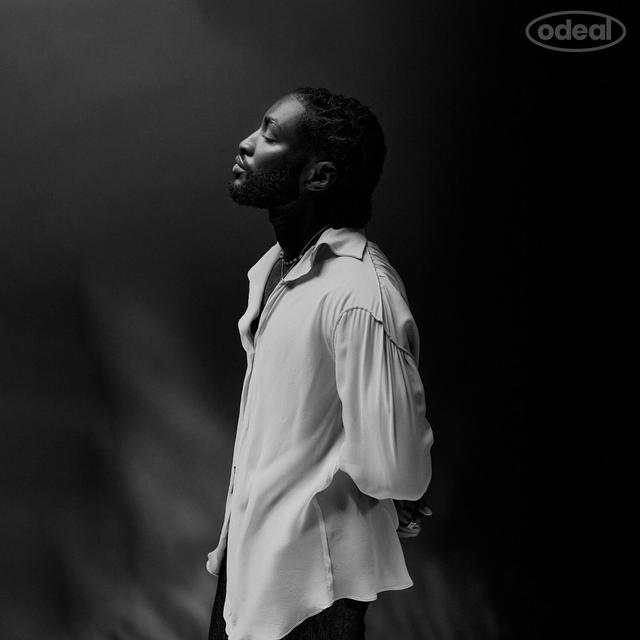 Album cover art for Thoughts I Never Said