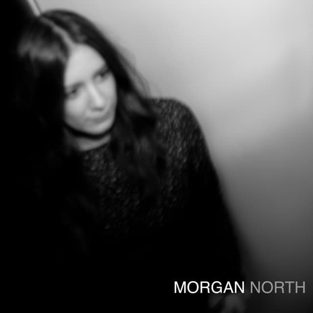 Album cover art for North