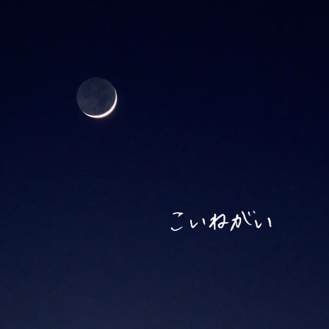 Album cover art for こいねがい