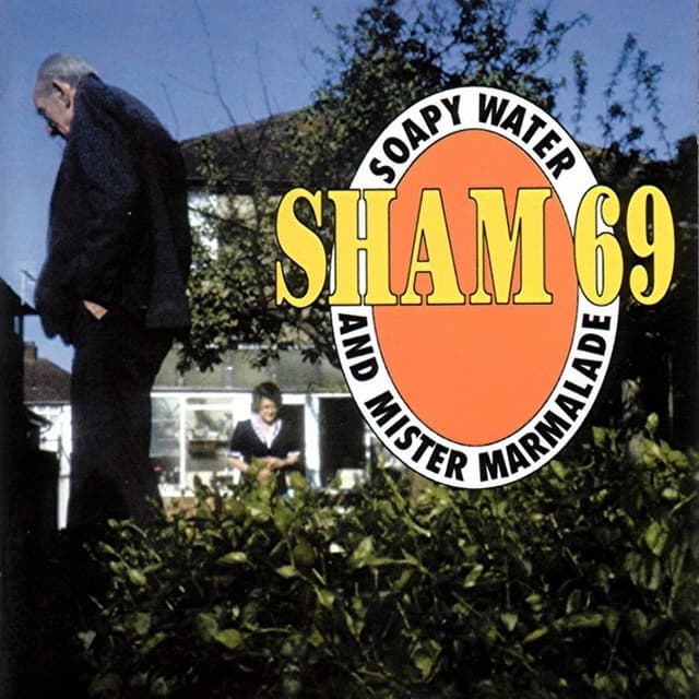 Album cover art for Soapy Water and Mister Marmalade