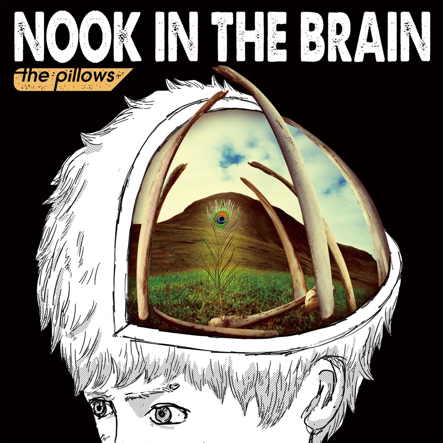 NOOK IN the BRAIN