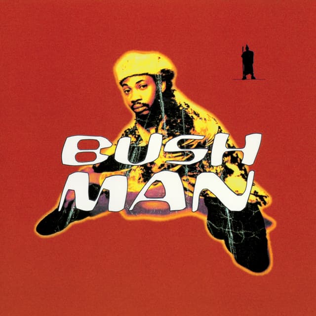 Album cover art for Bushman