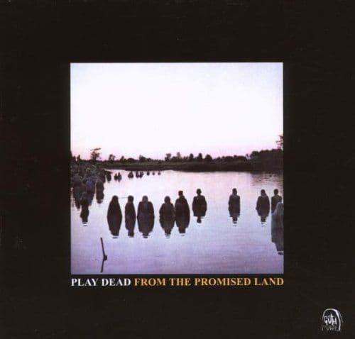 Album cover art for From The Promised Land