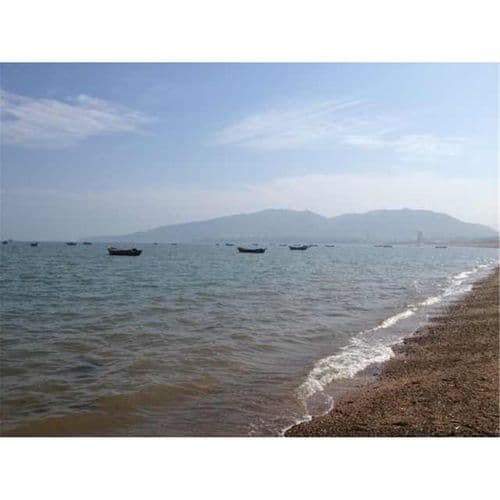 Album cover art for 心里梦里