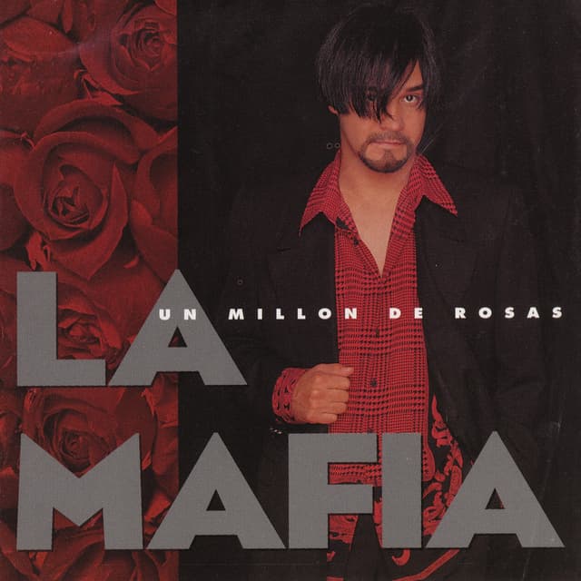 Album cover art for Un Millon De Rosas