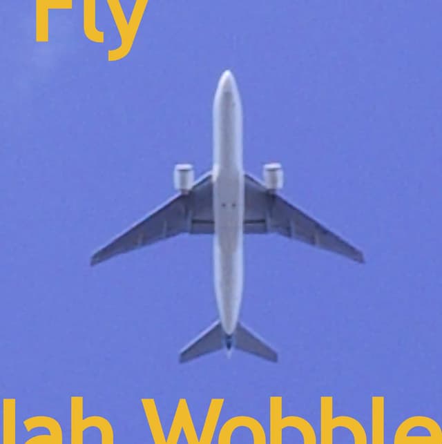 Album cover art for Fly