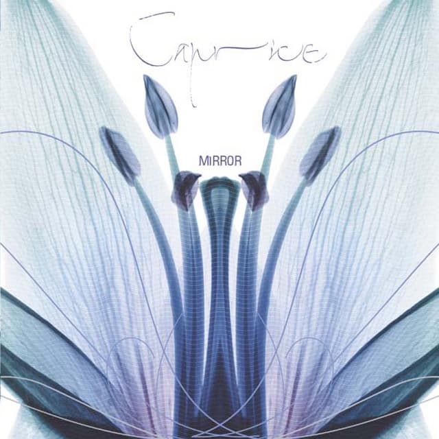 Album cover art for Mirror