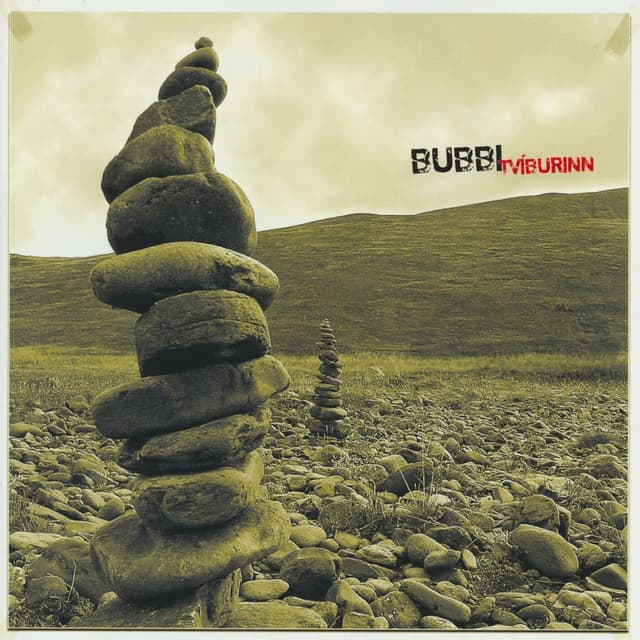 Album cover art for Tvíburinn