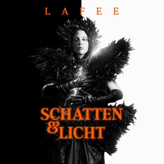 Album cover art for Schatten & Licht