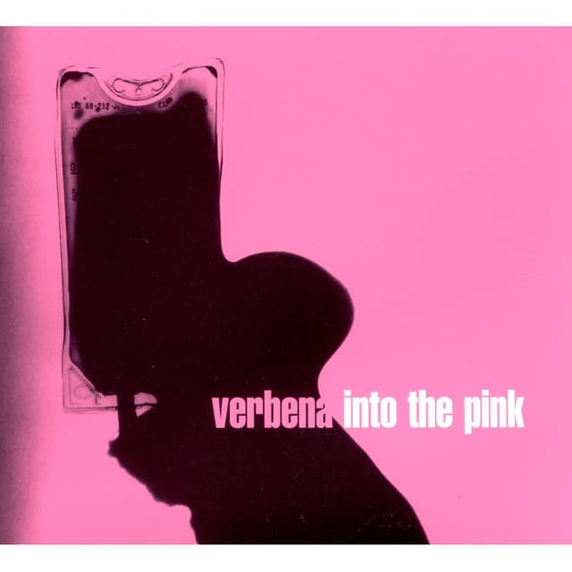 Album cover art for Into The Pink