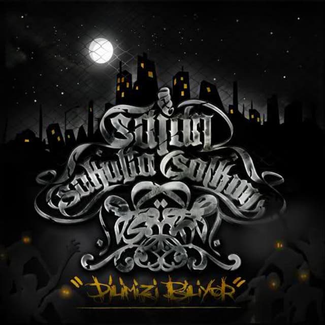 Album cover art for Dilimizi Biliyor