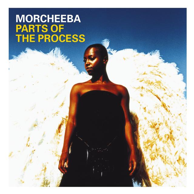 Album cover art for Parts of the Process