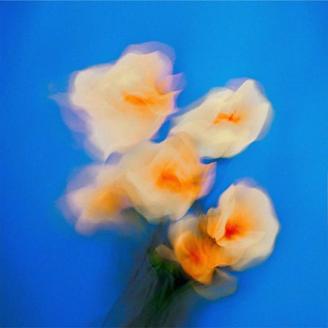 Album cover art for From The Start