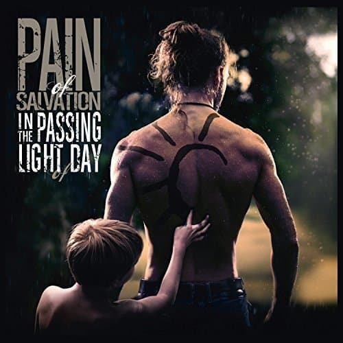 Album cover art for In the Passing Light of Day