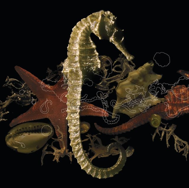 Album cover art for De Retour dans Nos Criques