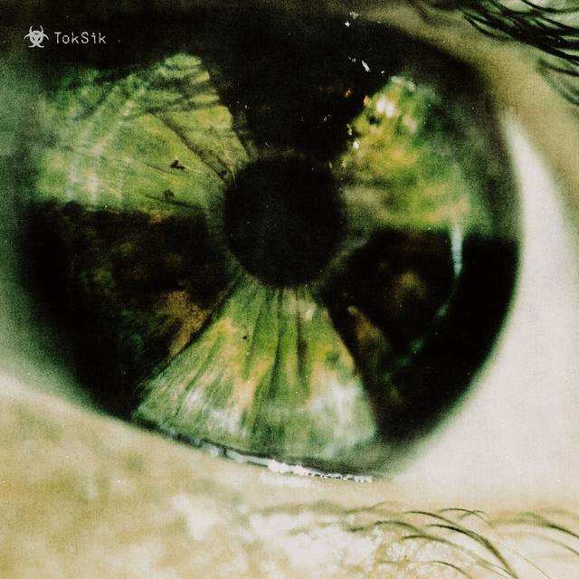 Album cover art for TokSik