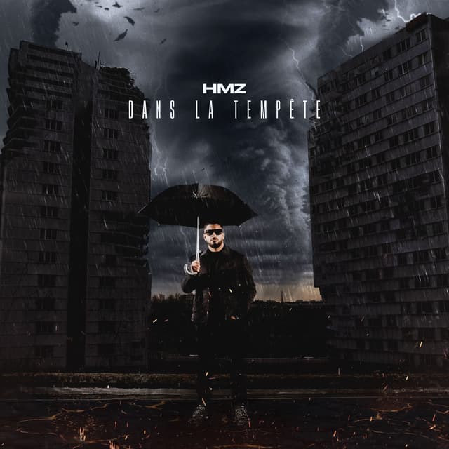 Album cover art for Dans la tempête