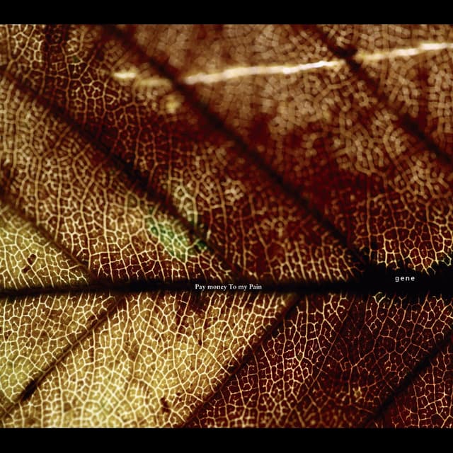 Album cover art for gene